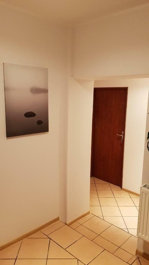 Pokoje Goscinne Venezia ツァプリネク エクステリア 写真